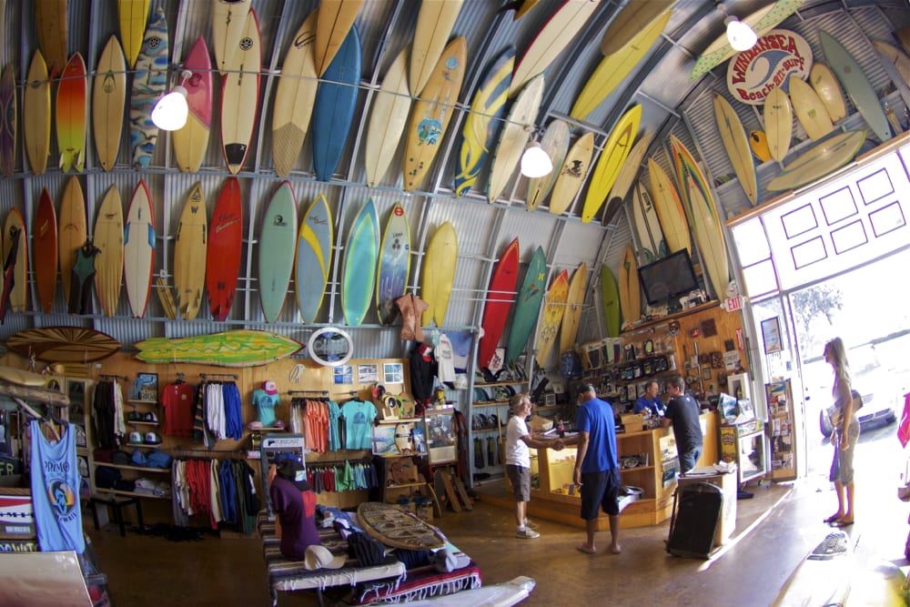 Birds surf shop discount