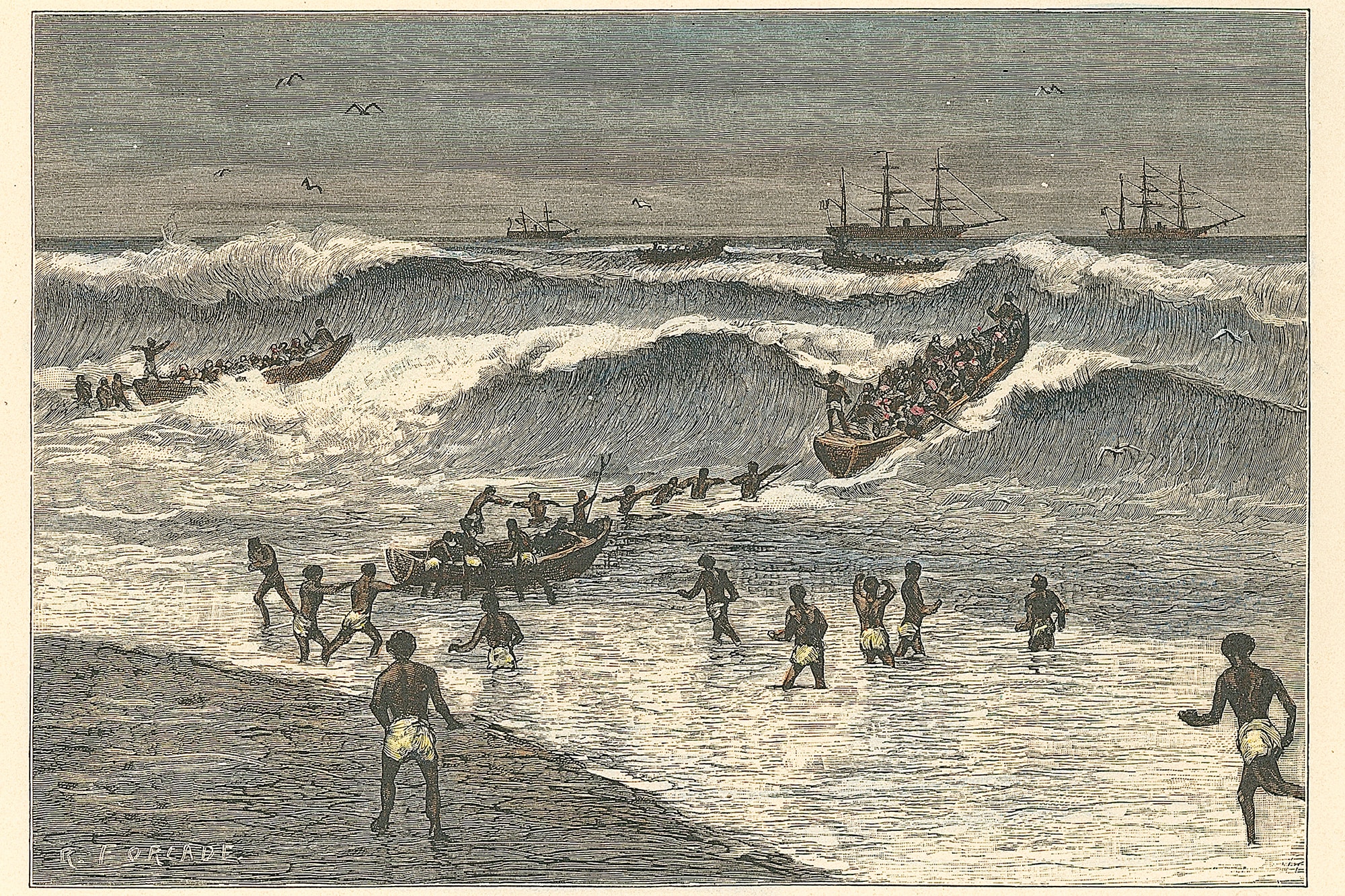 ART COMES FIRST SURF AFRIKA art comes first 19SS surf africa