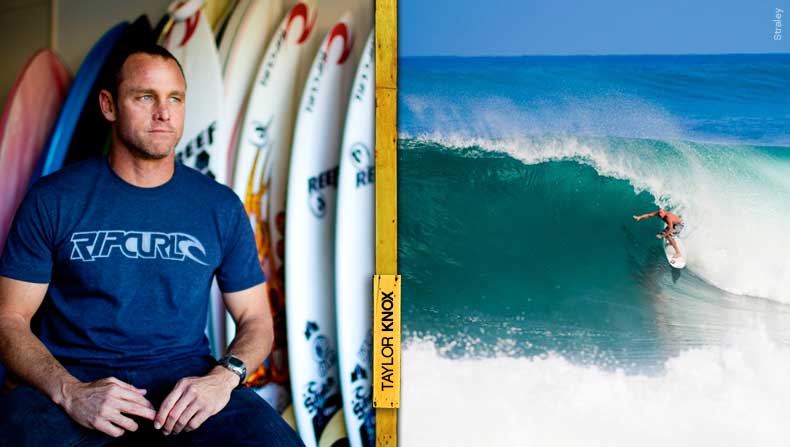Taylor knox surfing cheap