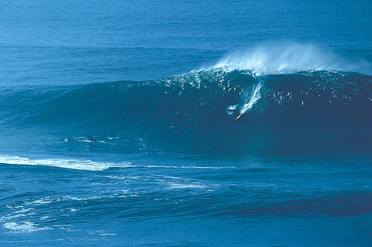 Mark foo mavericks hotsell