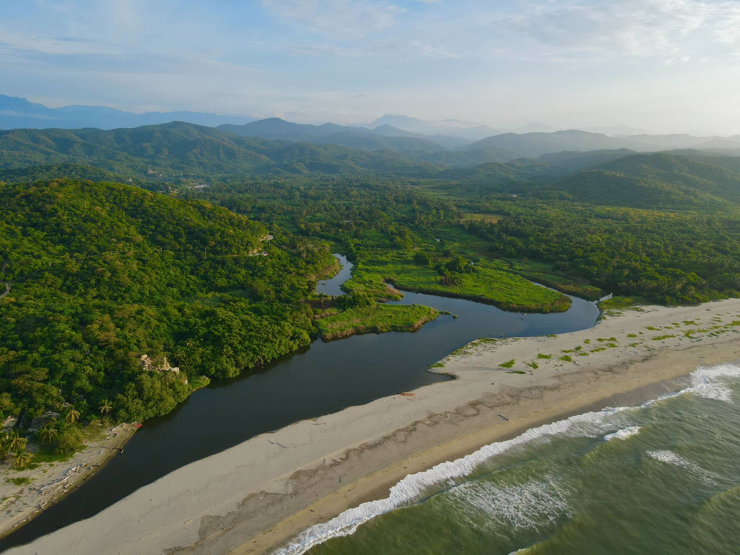 63 Year Old Activist Murdered in Barra de La Cruz - Surfer