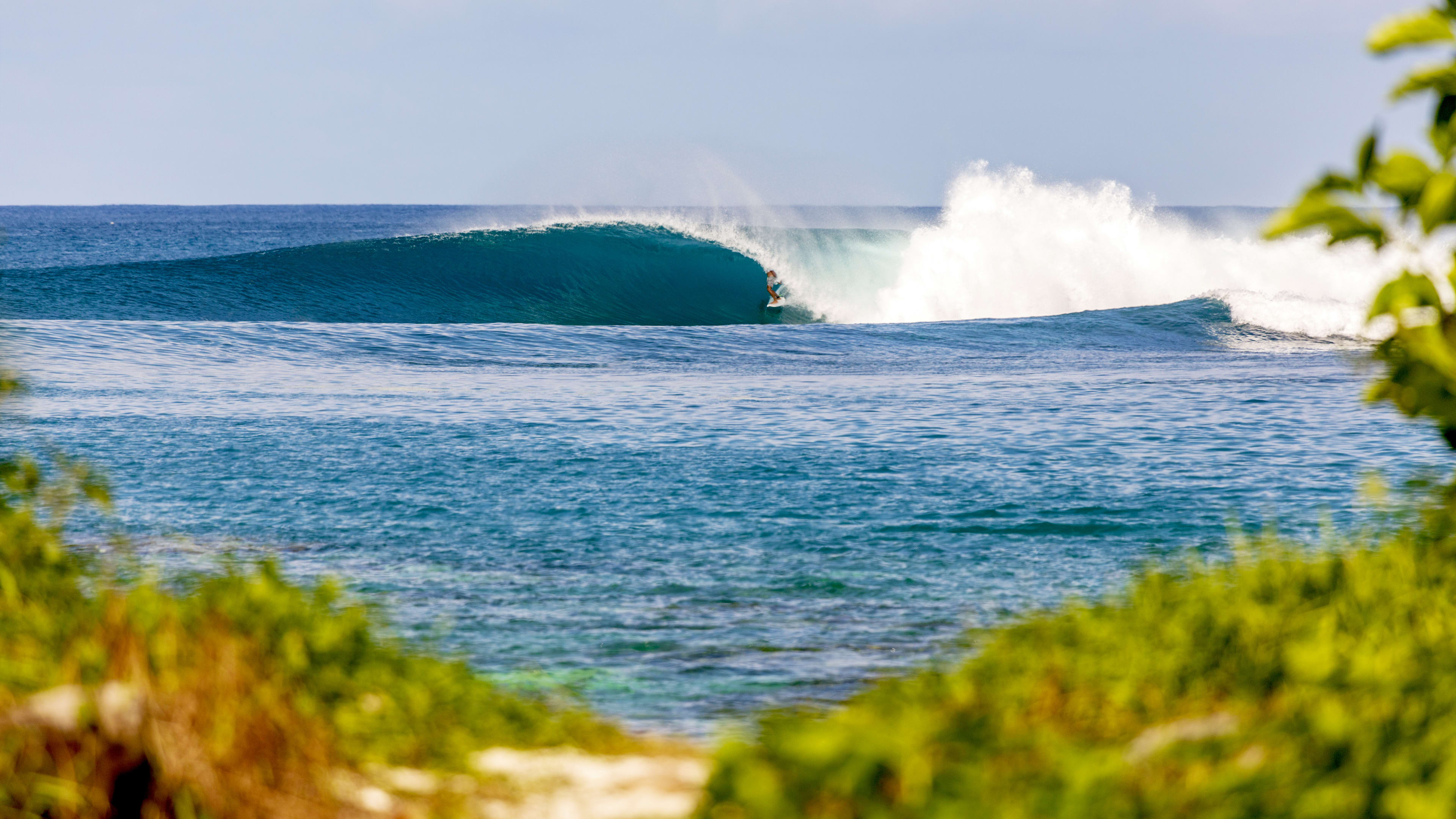 Fundy Tidal Bore Adventures (2026) - All You Need to Know BEFORE You Go  (with Reviews), image size:3840x2160